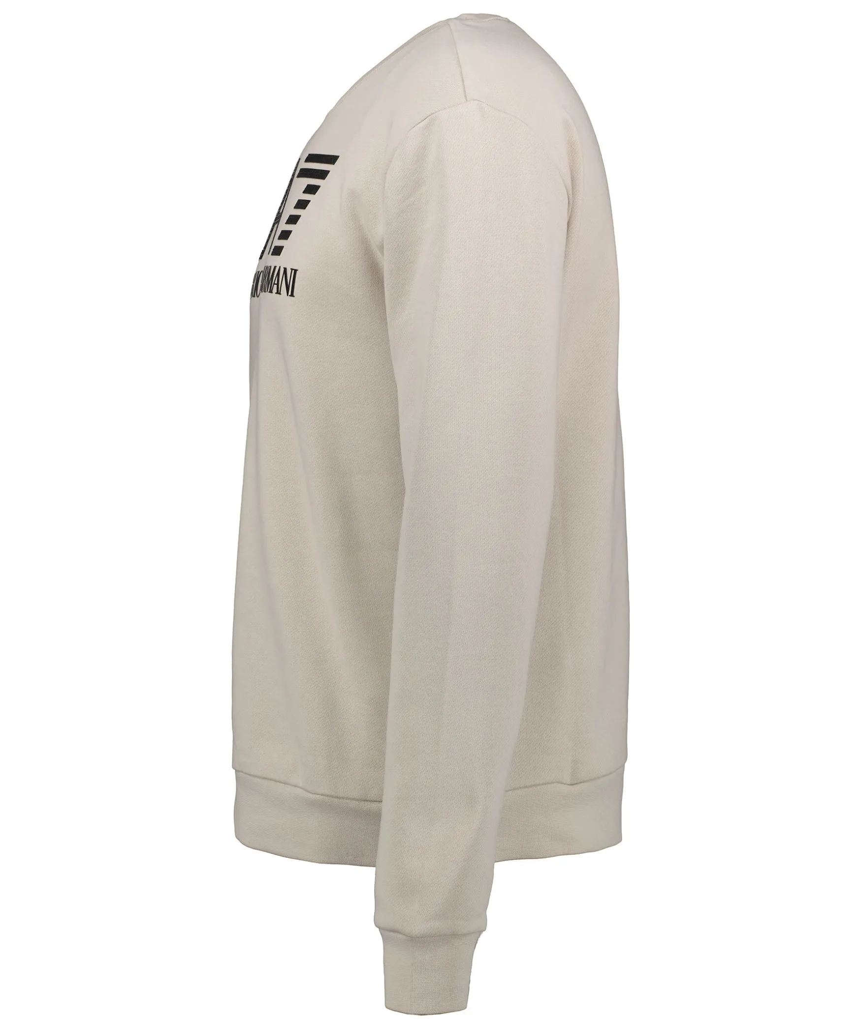 Big Print Sweatshirt