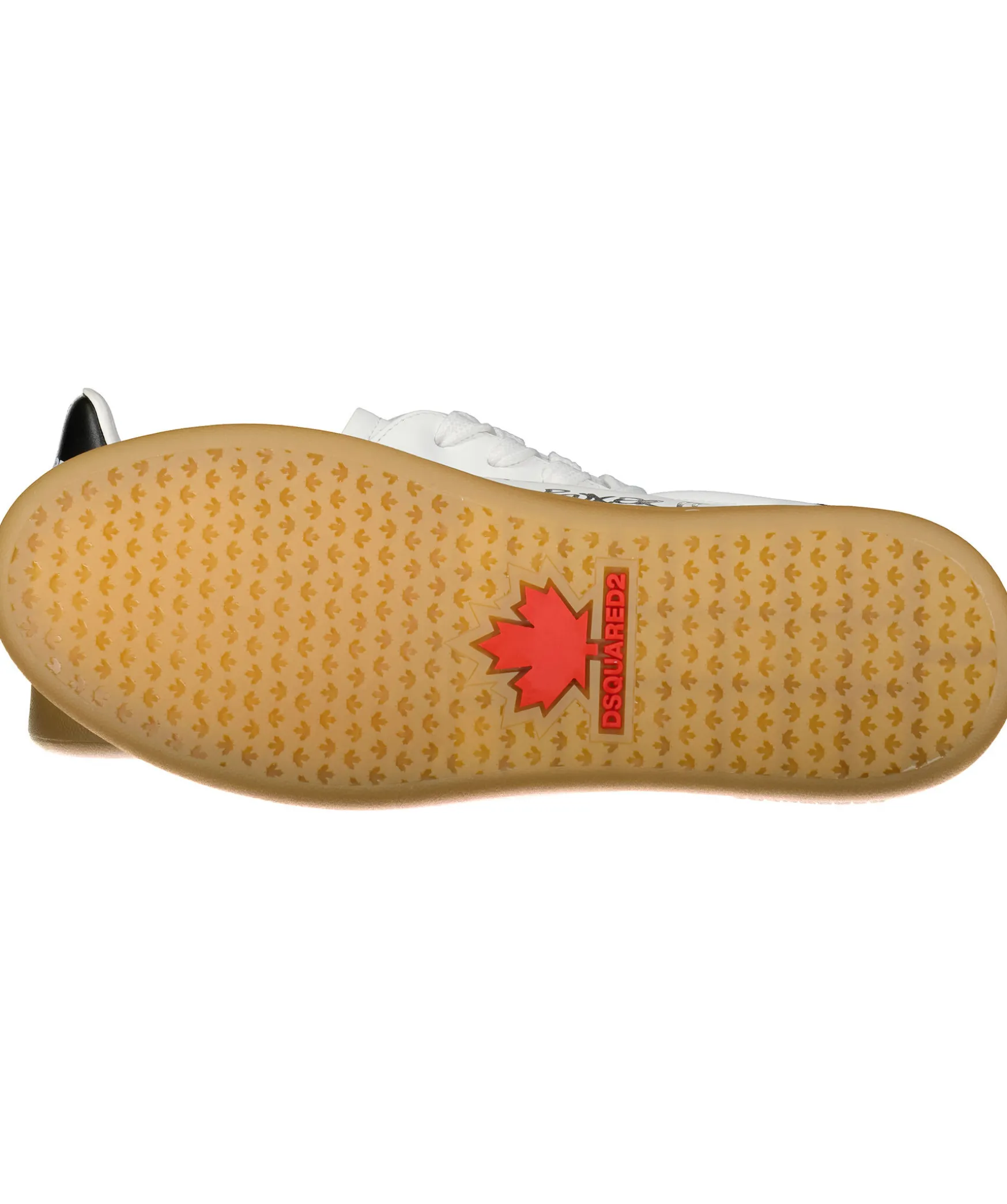 The Canadian Sneaker